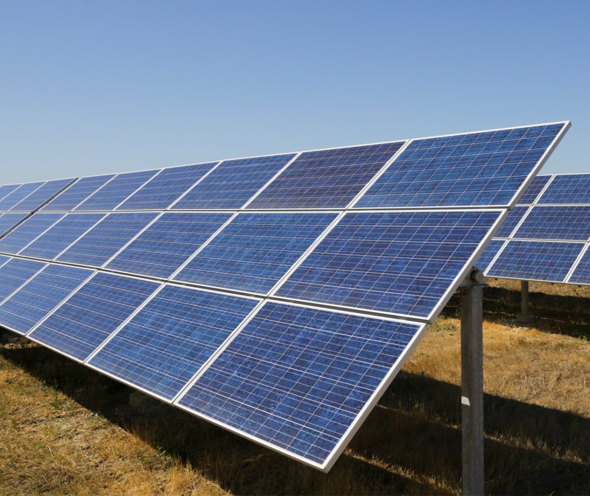 Close-up of a solar panel in a field during daylight