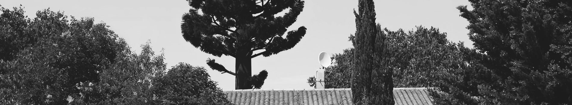 Black and white image of trees and a tile rooftop against the sky