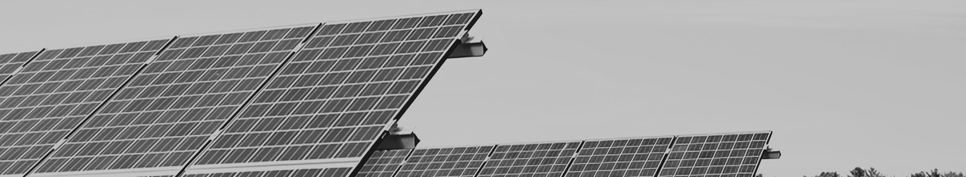 Black and white image of solar panels, where only the tops of the panels are visible against the sky